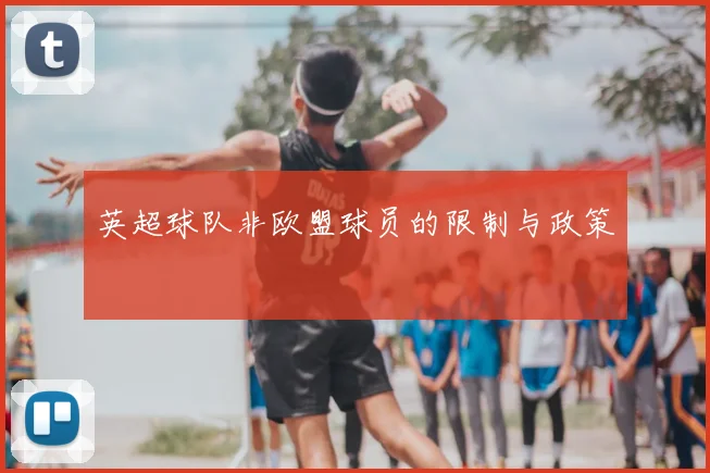 英超球队非欧盟球员的限制与政策