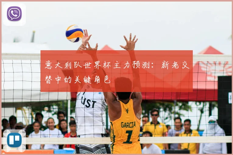 意大利队世界杯主力预测：新老交替中的关键角色